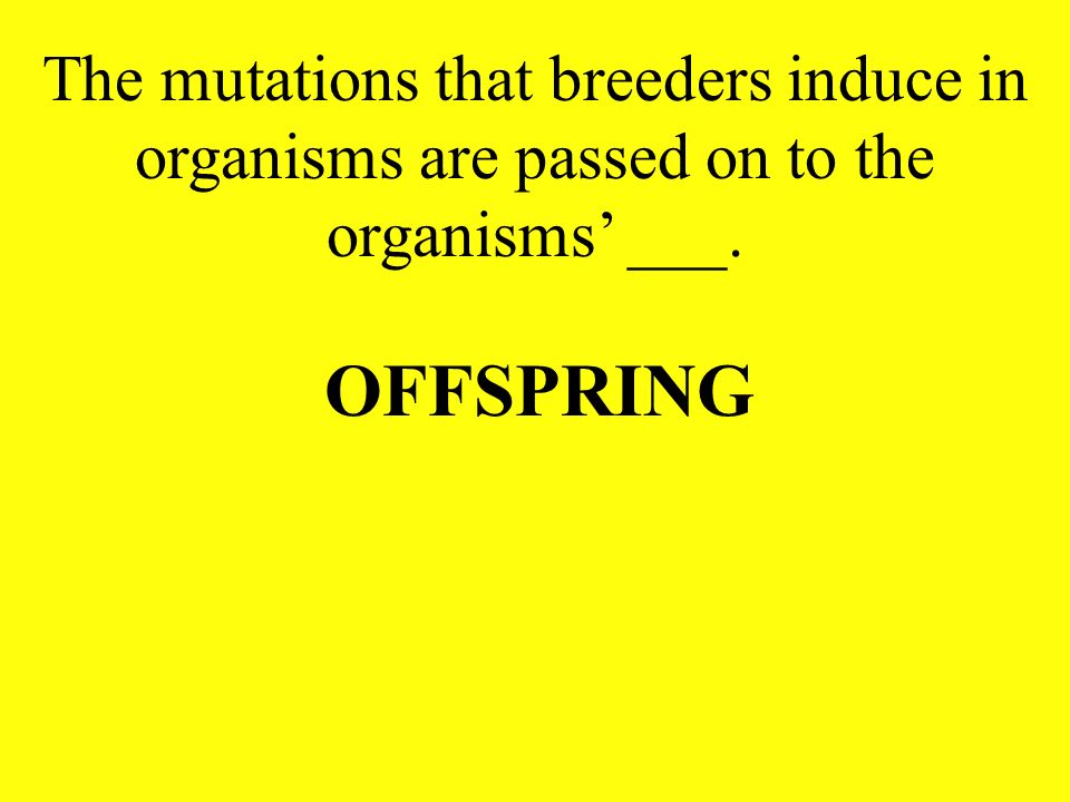 The mutations that breeders induce in organisms are passed on to the organisms’ ___.