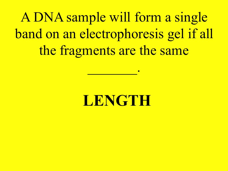 A DNA sample will form a single band on an electrophoresis gel if all the fragments are the same _______.