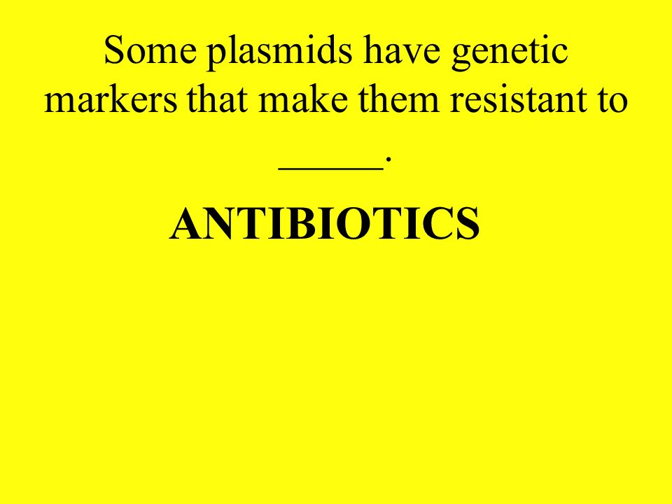 Some plasmids have genetic markers that make them resistant to _____.