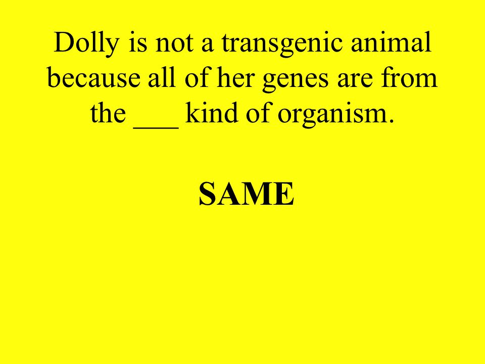 Dolly is not a transgenic animal because all of her genes are from the ___ kind of organism.