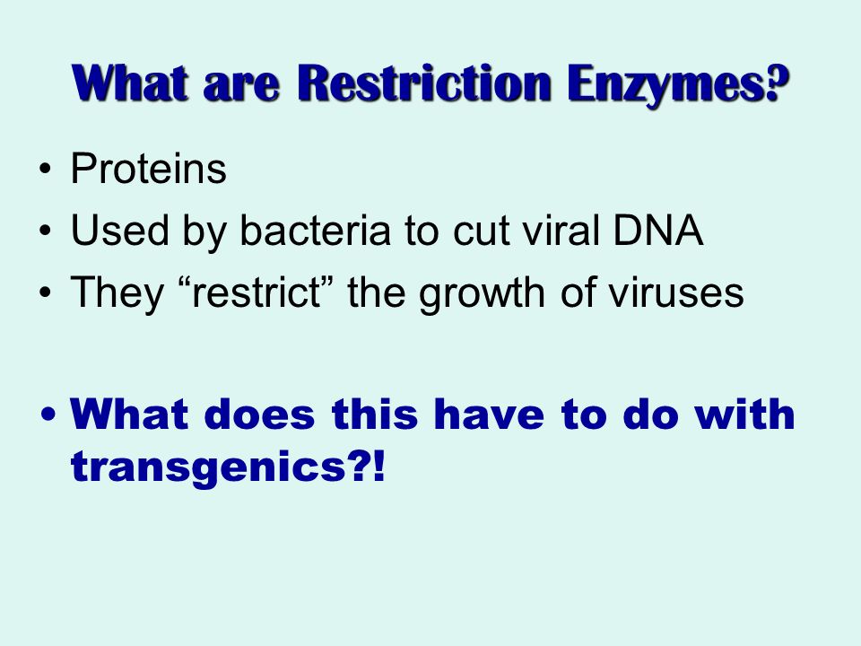 What are Restriction Enzymes