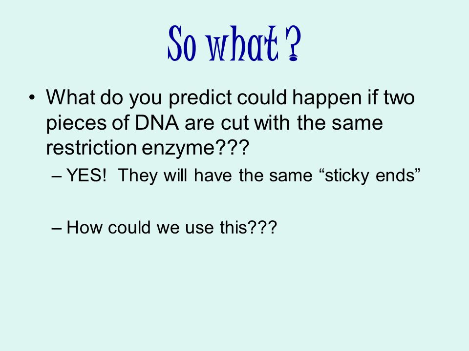 So what What do you predict could happen if two pieces of DNA are cut with the same restriction enzyme