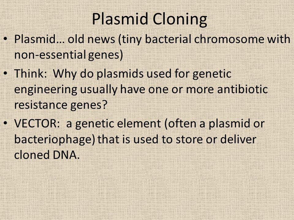 Plasmid Cloning Plasmid… old news (tiny bacterial chromosome with non-essential genes)