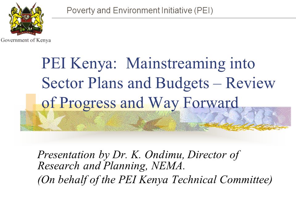 PEI Kenya: Mainstreaming into Sector Plans and Budgets – Review of Progress and Way Forward