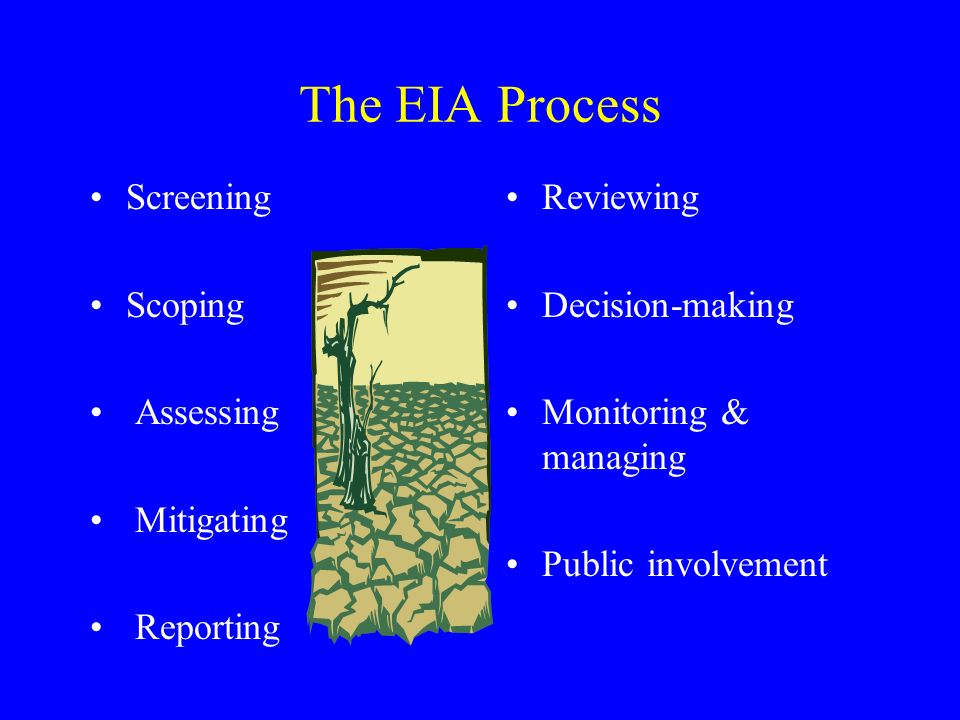 The EIA Process Screening Scoping Assessing Mitigating Reporting