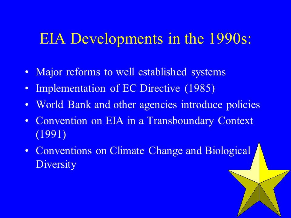 EIA Developments in the 1990s: