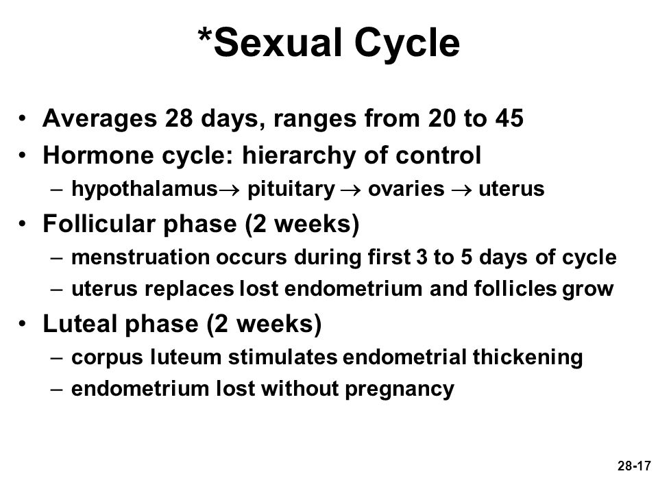 *Sexual Cycle Averages 28 days, ranges from 20 to 45