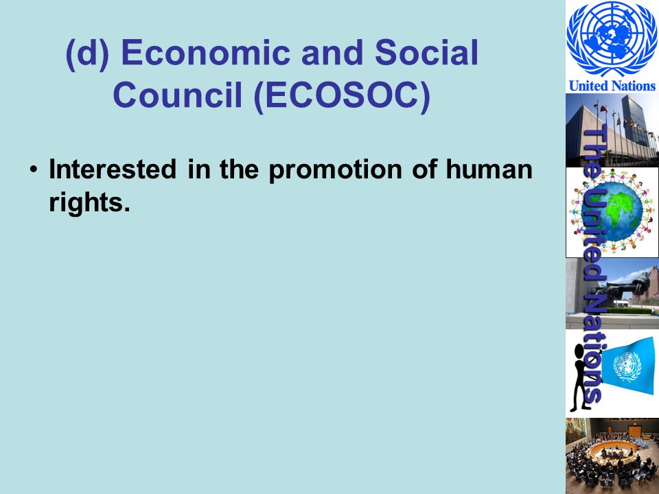 (d) Economic and Social Council (ECOSOC)