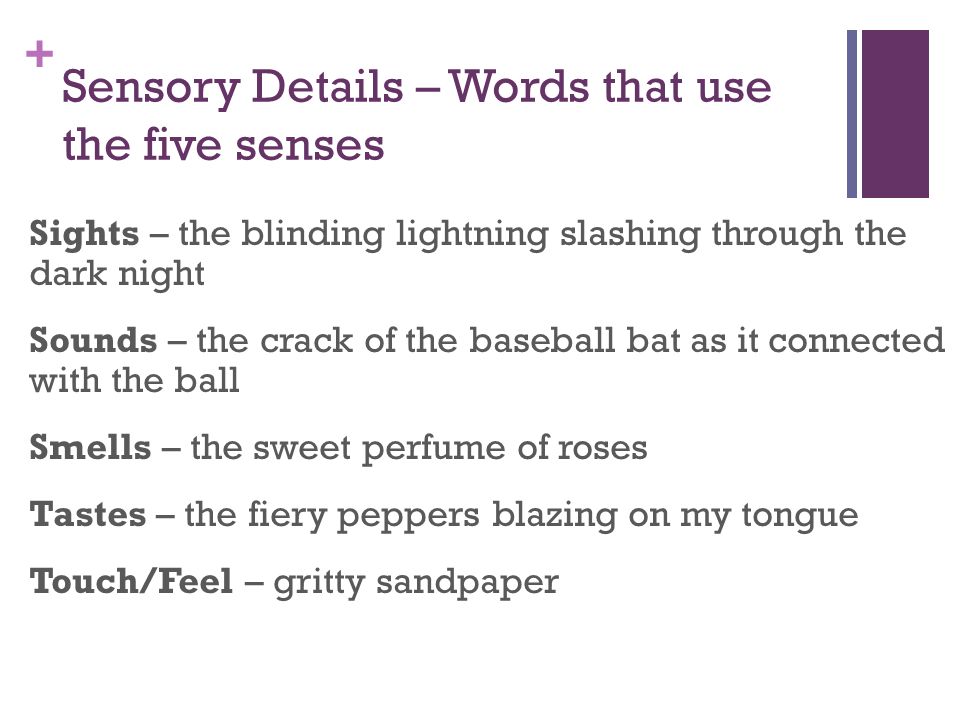 Sensory Details – Words that use the five senses