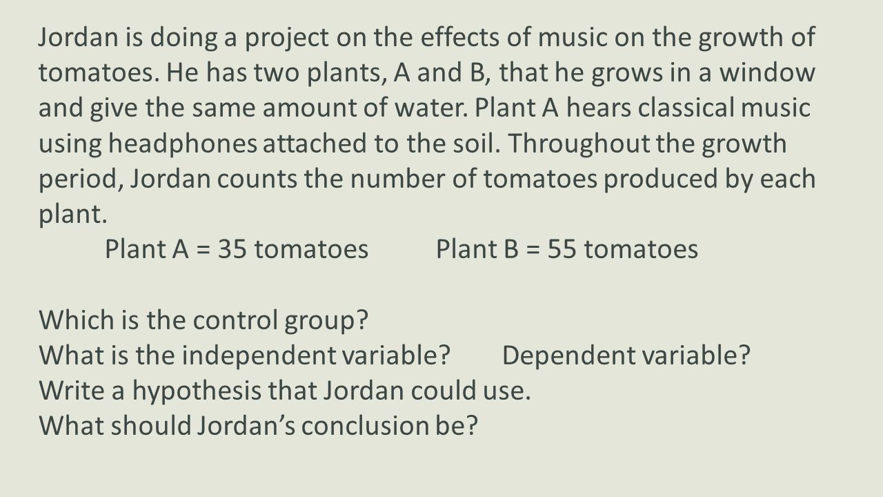 Jordan is doing a project on the effects of music on the growth of tomatoes. He has two plants, A and B, that he grows in a window and give the same amount of water. Plant A hears classical music using headphones attached to the soil. Throughout the growth period, Jordan counts the number of tomatoes produced by each plant.