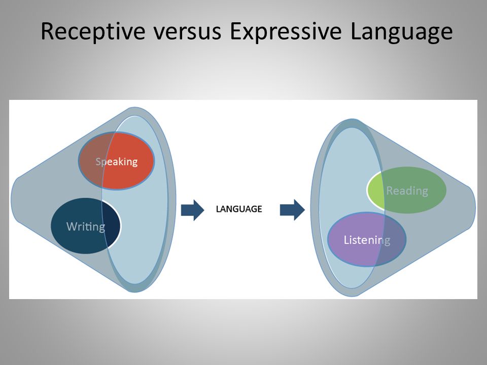 Receptive versus Expressive Language