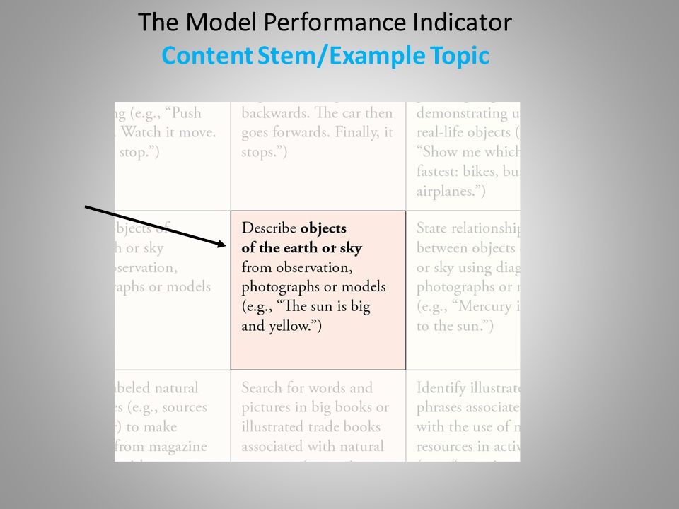 The Model Performance Indicator Content Stem/Example Topic
