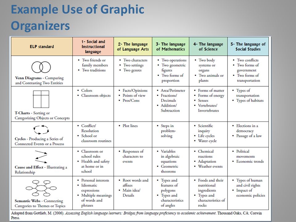 Example Use of Graphic Organizers
