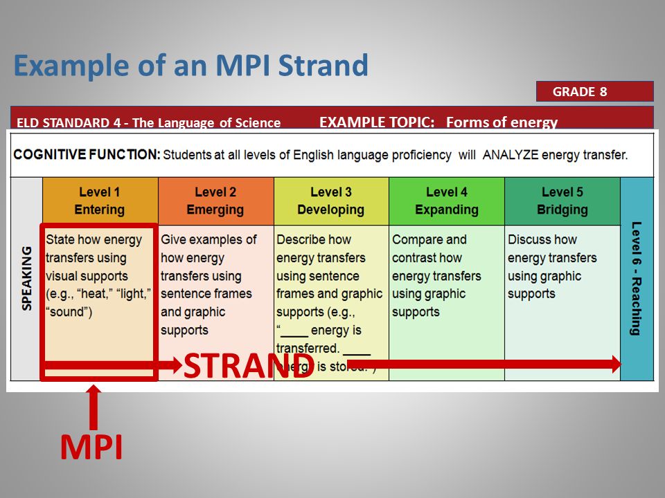 STRAND MPI Example of an MPI Strand GRADE 8