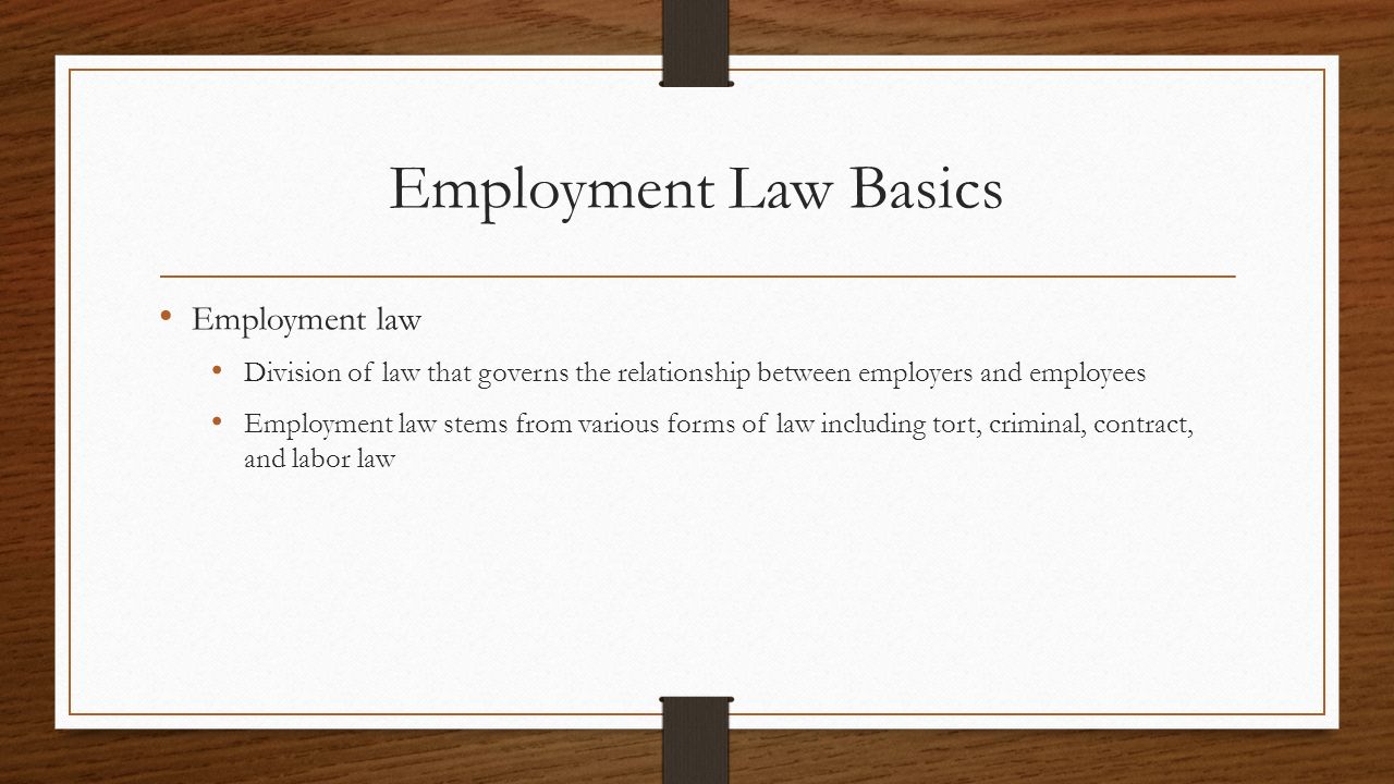 Employment Law Basics Employment law