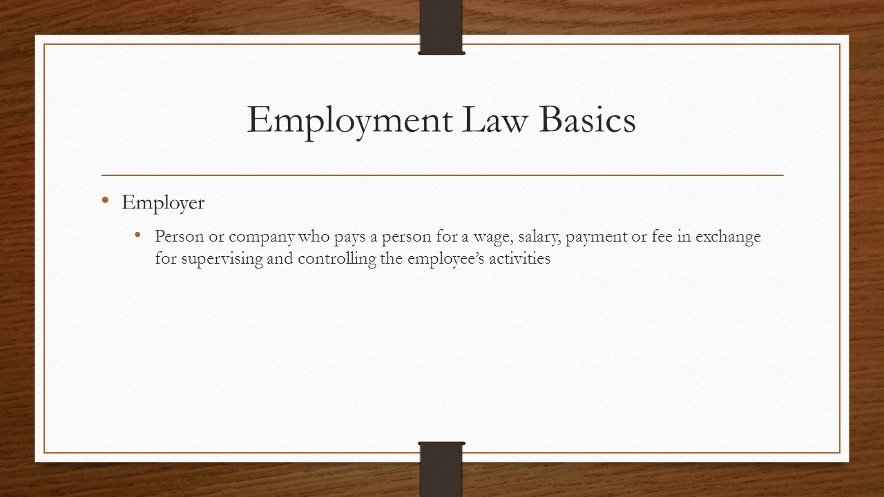 Employment Law Basics Employer