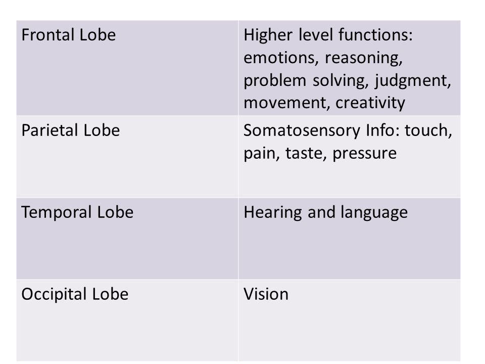 Frontal Lobe Higher level functions: emotions, reasoning, problem solving, judgment, movement, creativity.