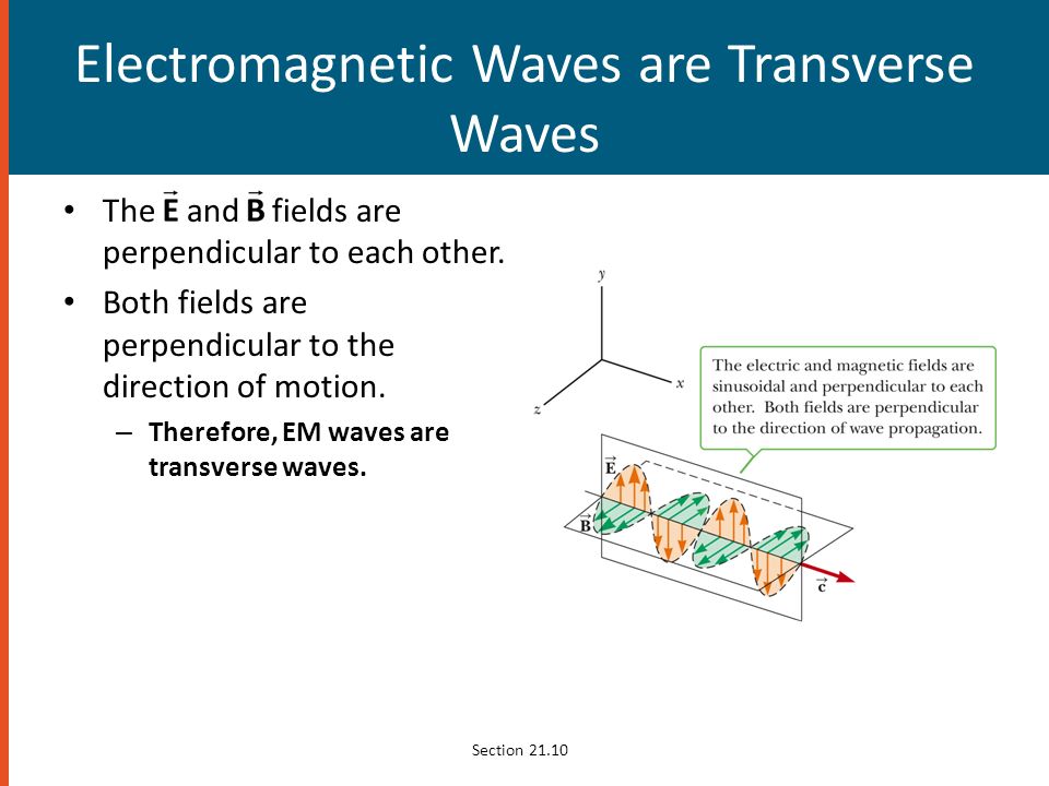 Electromagnetic Waves are Transverse Waves