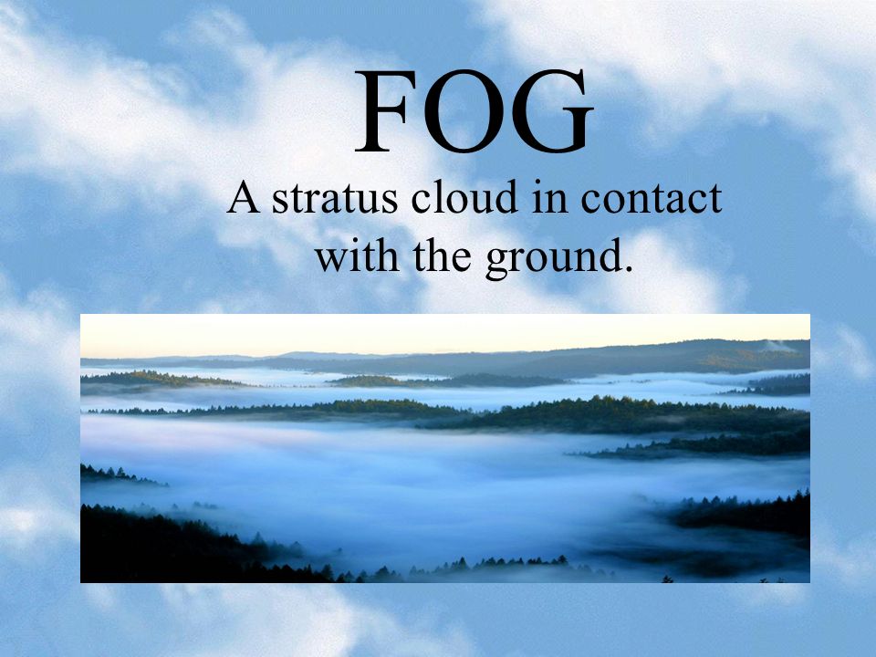 A stratus cloud in contact with the ground.