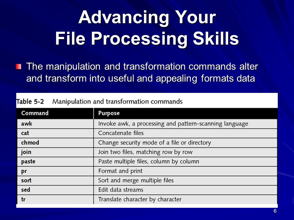 Advancing Your File Processing Skills