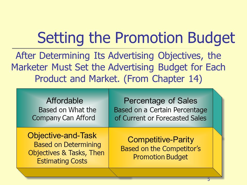 Setting the Promotion Budget