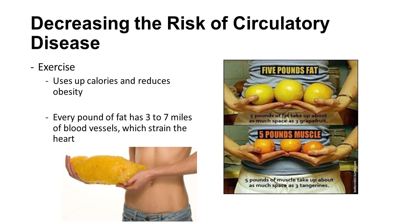 Decreasing the Risk of Circulatory Disease
