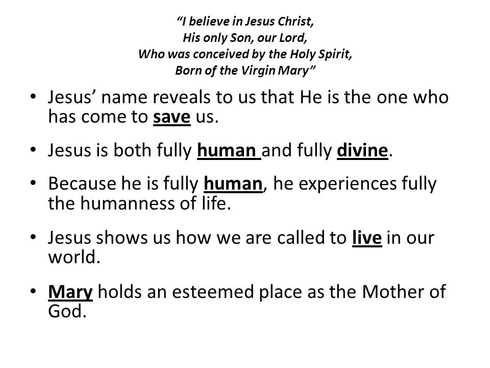 Jesus’ name reveals to us that He is the one who has come to save us.