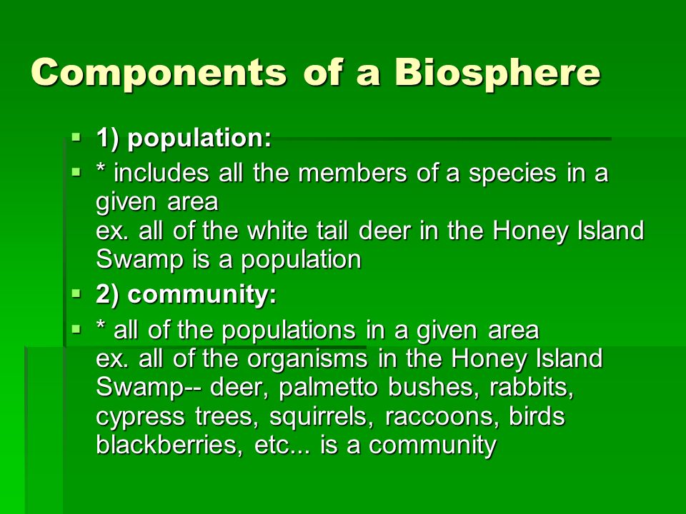 Components of a Biosphere