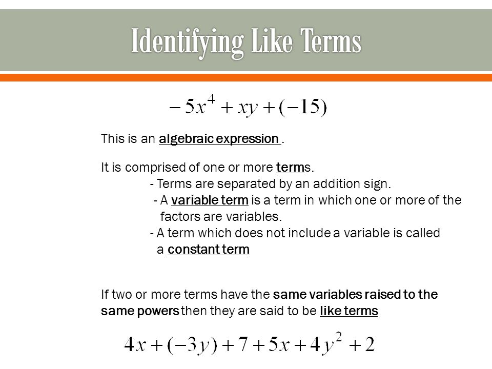 Identifying Like Terms