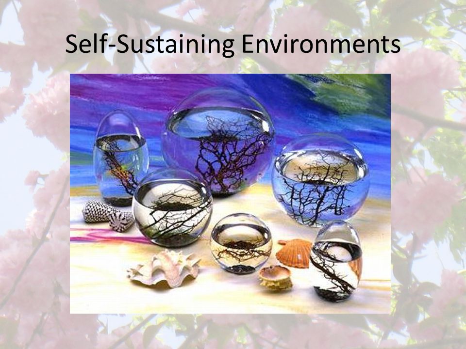 Self-Sustaining Environments