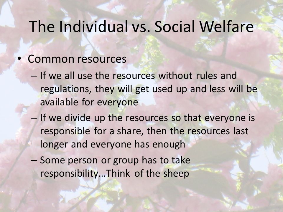 The Individual vs. Social Welfare