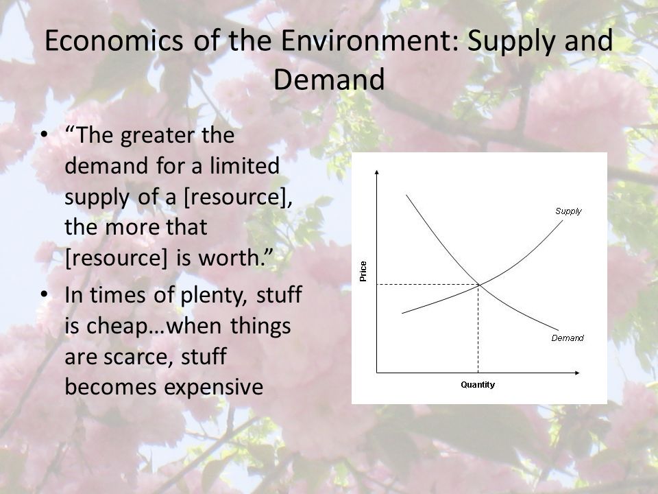 Economics of the Environment: Supply and Demand