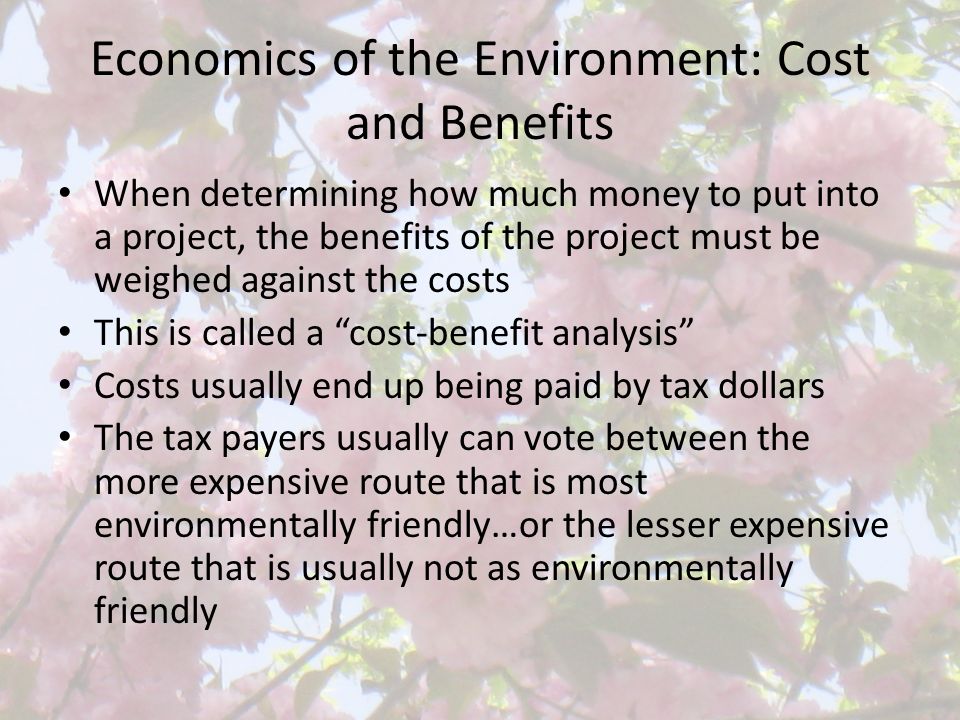Economics of the Environment: Cost and Benefits