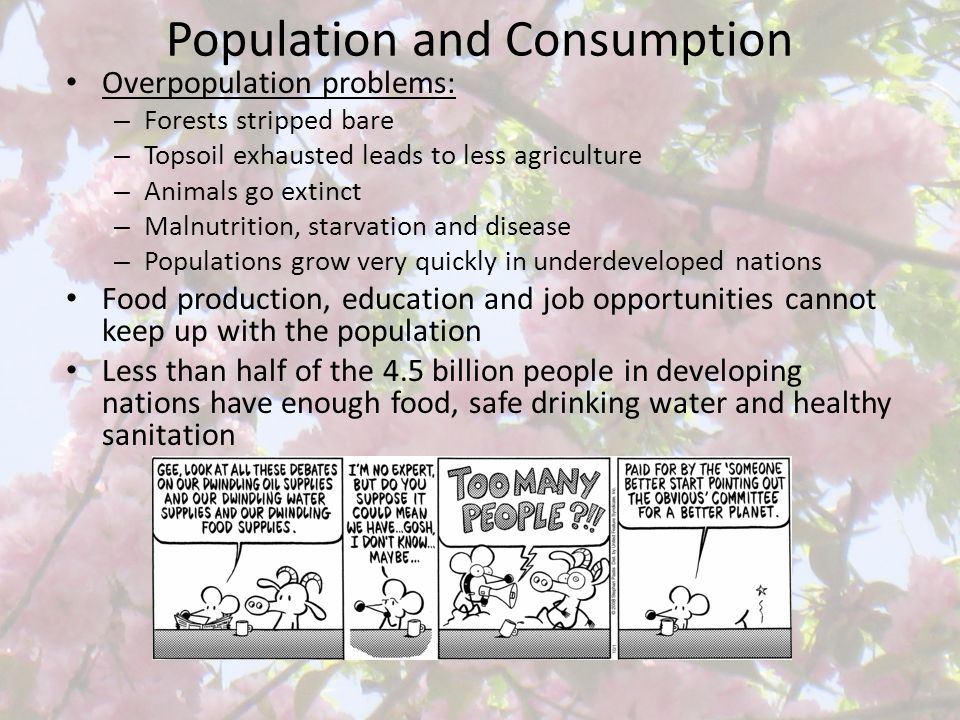 Population and Consumption