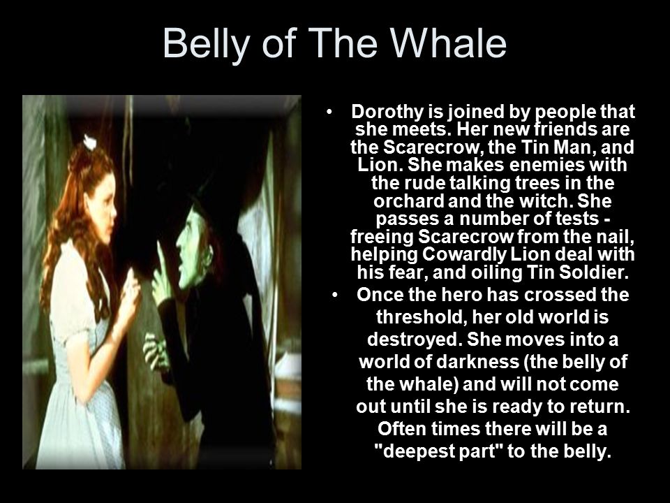 Belly of The Whale