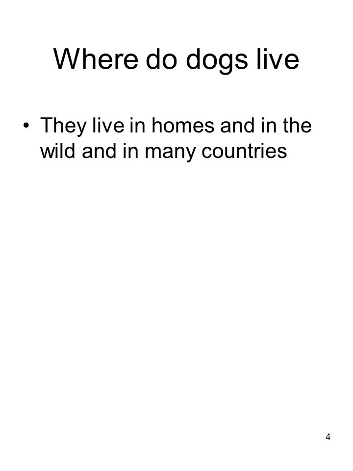 Where do dogs live They live in homes and in the wild and in many countries