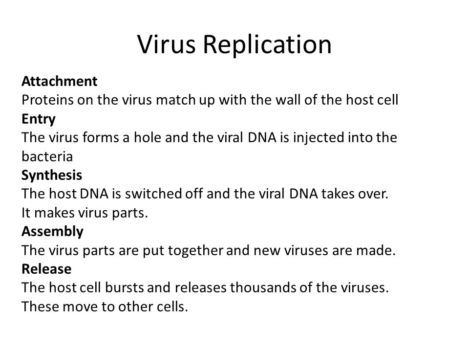 Virus Replication Attachment