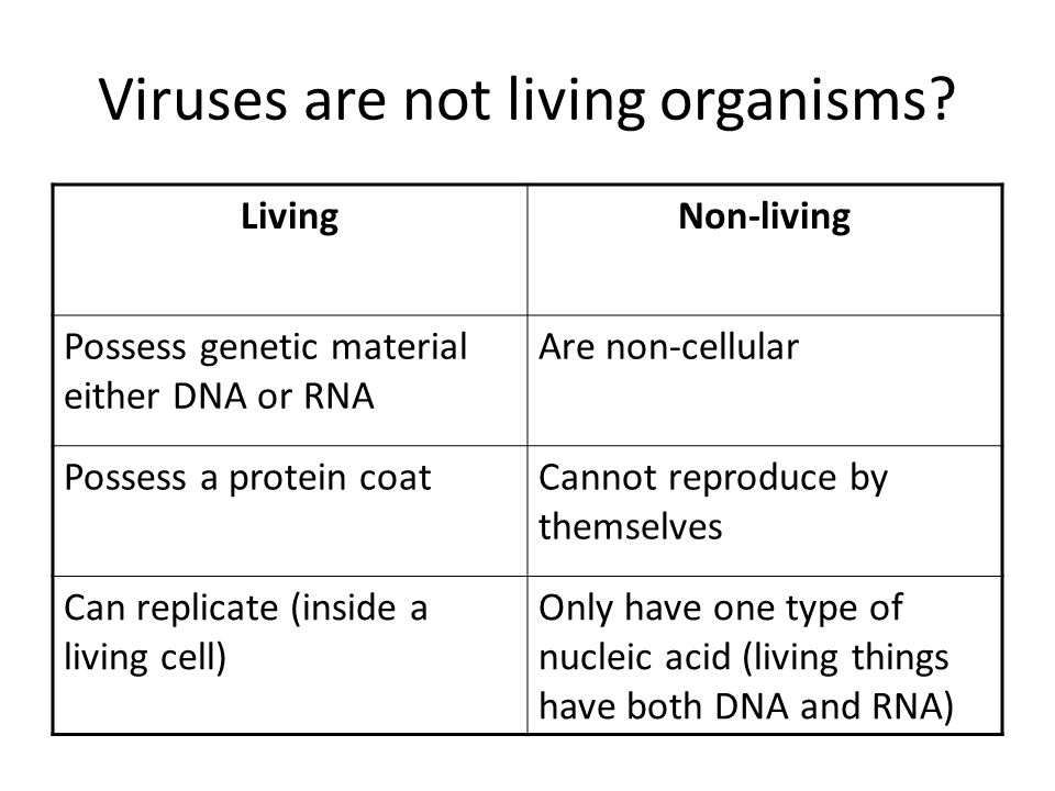 Viruses are not living organisms