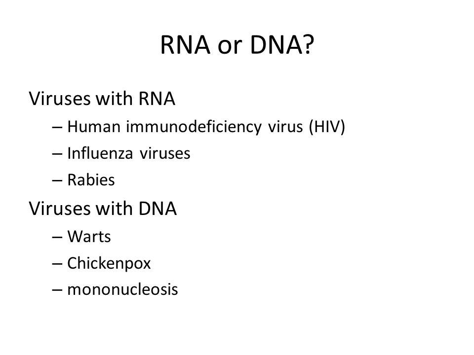 RNA or DNA Viruses with RNA Viruses with DNA