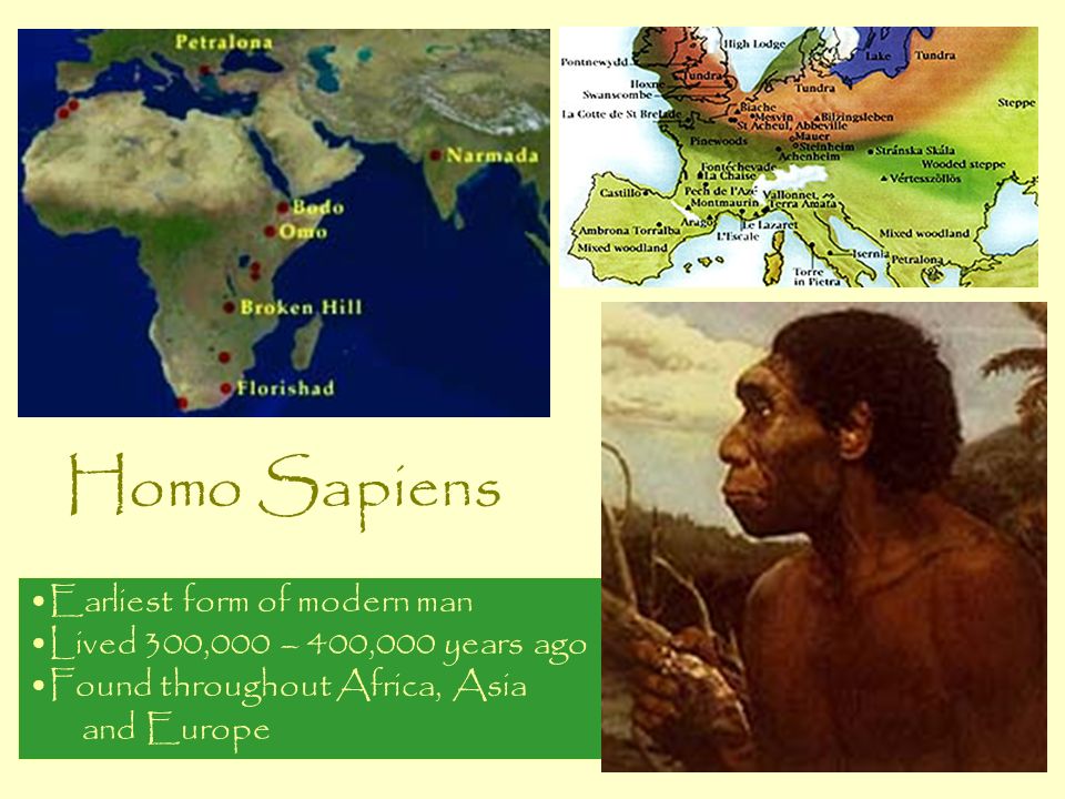 Homo Sapiens Earliest form of modern man