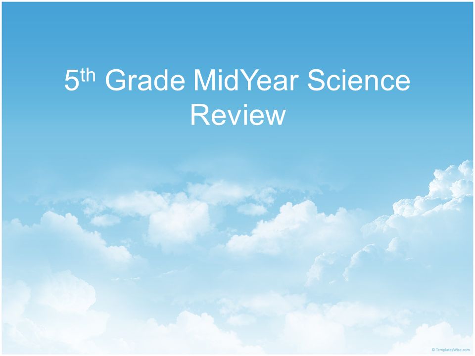 5th Grade MidYear Science Review