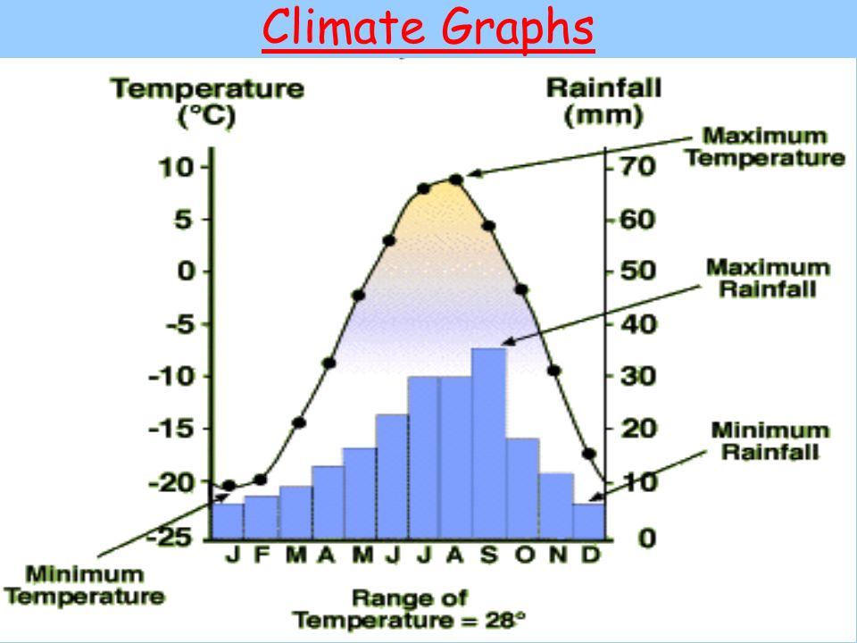 Taiga Precipitation Chart