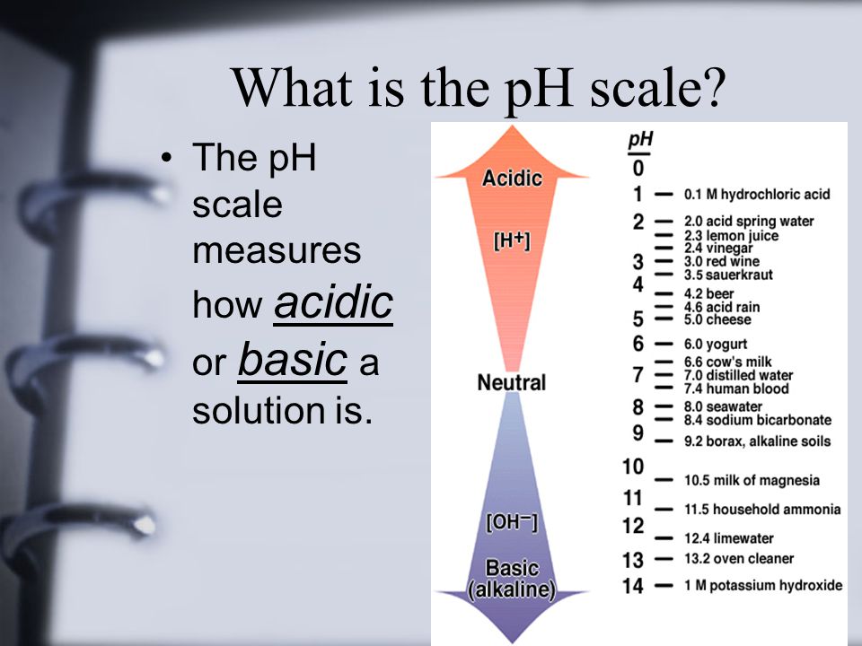 What is the pH scale The pH scale measures how acidic or basic a solution is.