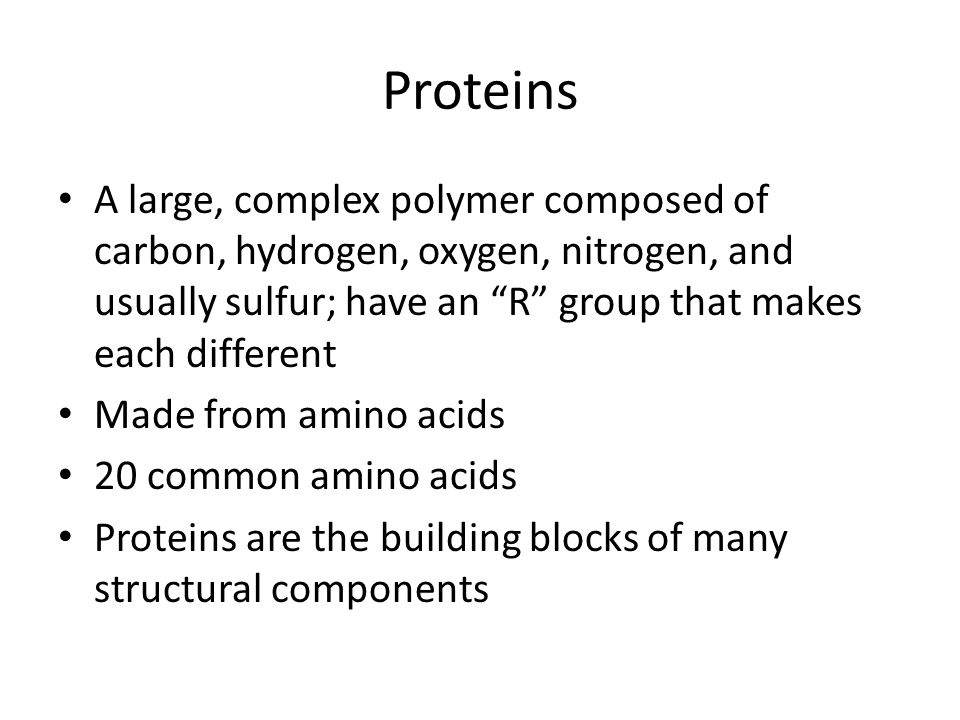 Proteins A large, complex polymer composed of carbon, hydrogen, oxygen, nitrogen, and usually sulfur; have an R group that makes each different.