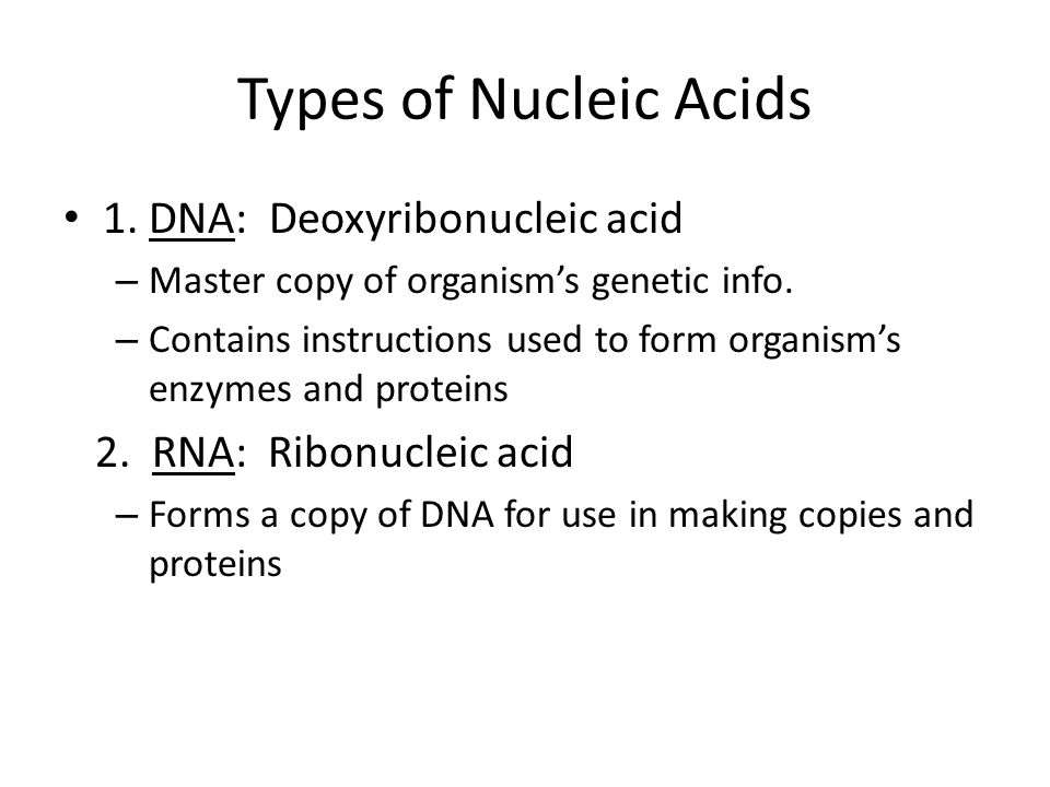 Types of Nucleic Acids 1. DNA: Deoxyribonucleic acid