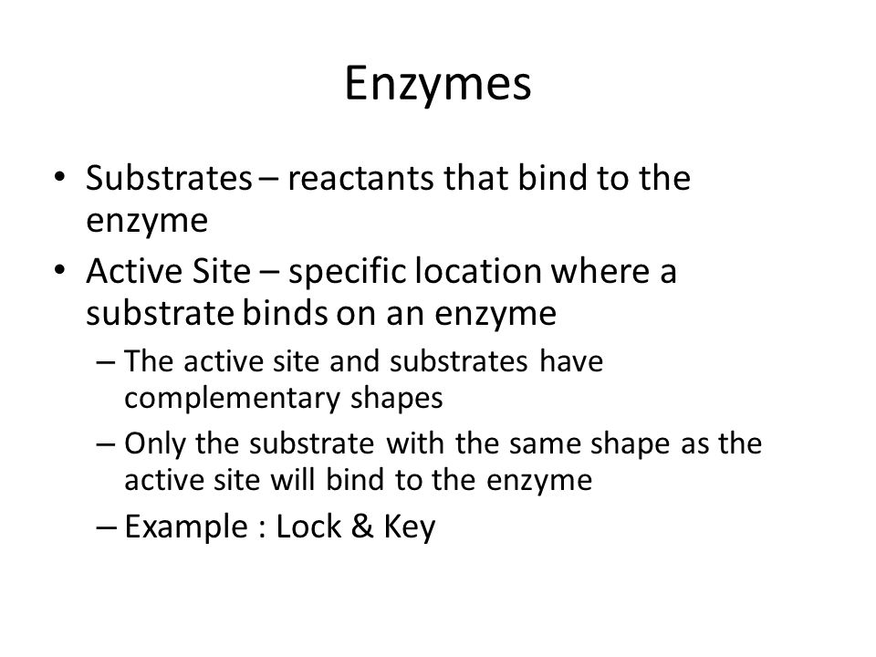 Enzymes Substrates – reactants that bind to the enzyme