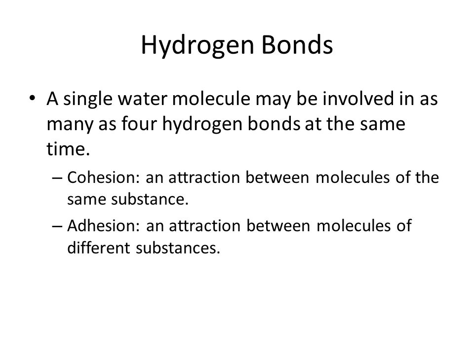 Hydrogen Bonds A single water molecule may be involved in as many as four hydrogen bonds at the same time.
