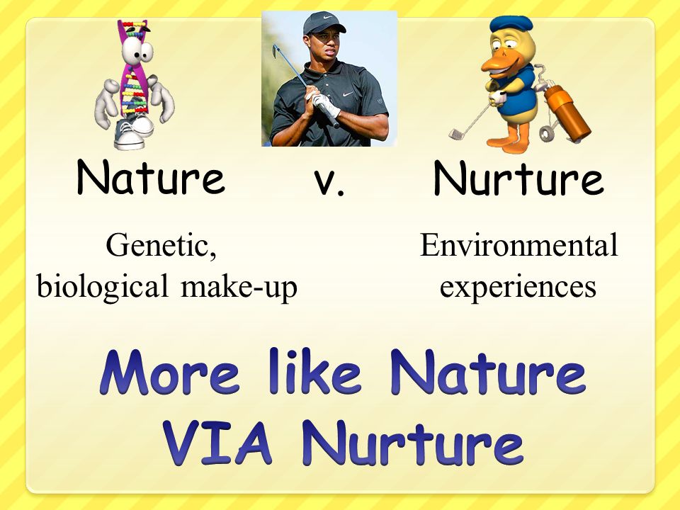 More like Nature VIA Nurture - ppt video online download