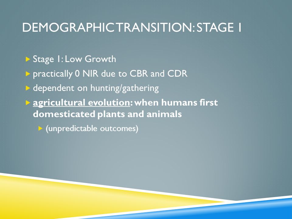 Demographic transition: stage 1