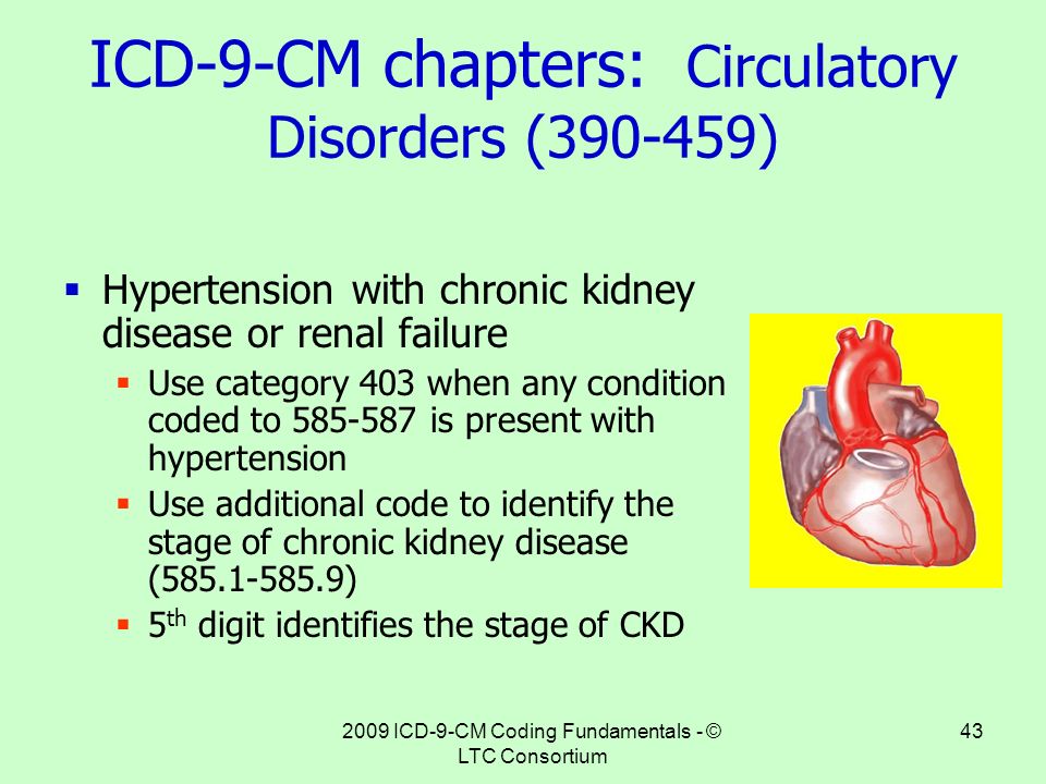 ICD-9-CM chapters: Circulatory Disorders ( )